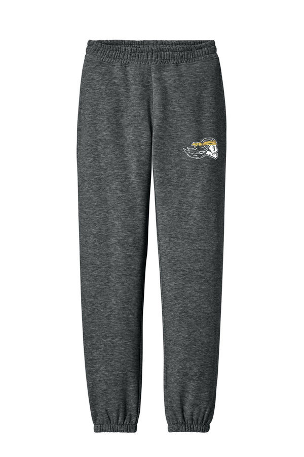 '25 Pottsville Basketball - District VIT Heavyweight Pants and Sweatshirts