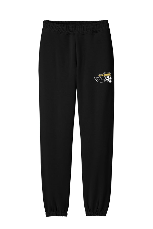 '25 Pottsville Basketball - District VIT Heavyweight Pants and Sweatshirts