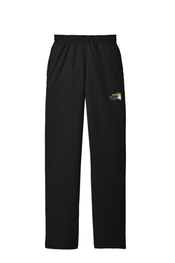 '26 Pottsville Basketball Fundraiser - Mascot - Shorts & Pants
