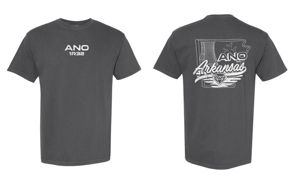 '25 ANO Outage 1R32 - Arkansas - Short Sleeves