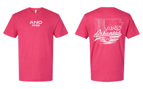 '25 ANO Outage 1R32 - Arkansas - Short Sleeves