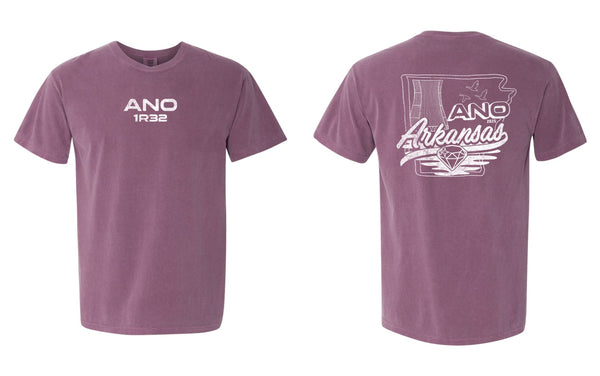 '25 ANO Outage 1R32 - Arkansas - Short Sleeves