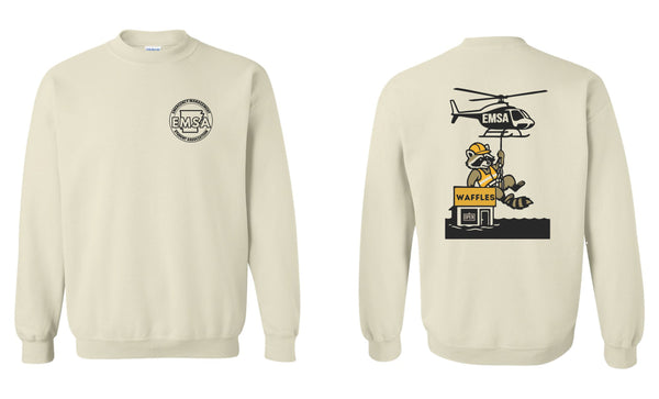 '25 Emergency Management Student Association