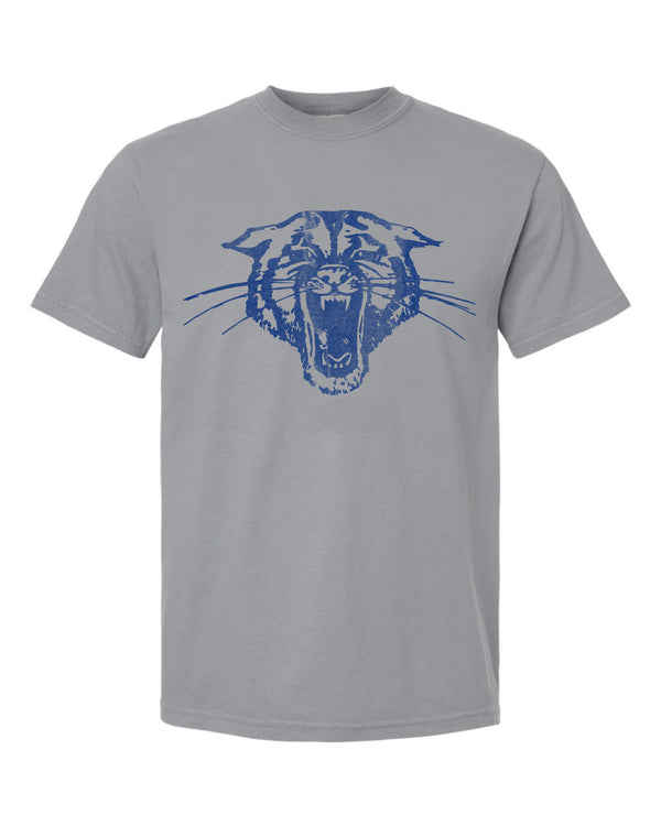 '26 Hector Athletic Booster Club - Vintage Mascot