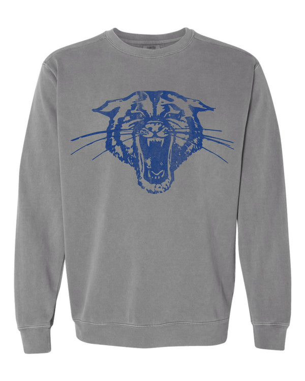 '26 Hector Athletic Booster Club - Vintage Mascot - Sweatshirts