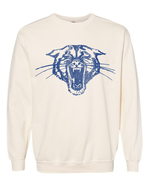 '26 Hector Athletic Booster Club - Vintage Mascot - Sweatshirts