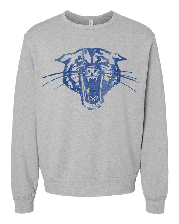 '26 Hector Athletic Booster Club - Vintage Mascot - Sweatshirts