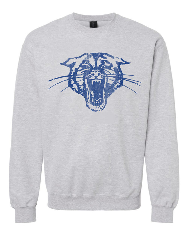 '26 Hector Athletic Booster Club - Vintage Mascot - Sweatshirts